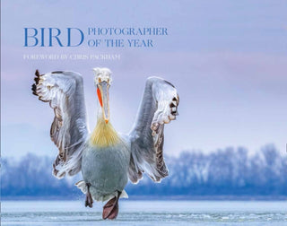 Cover image for 9780008336196 - Bird Photographer of the Year