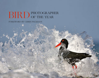Cover image for 9780008336202 - Bird Photographer of the Year
