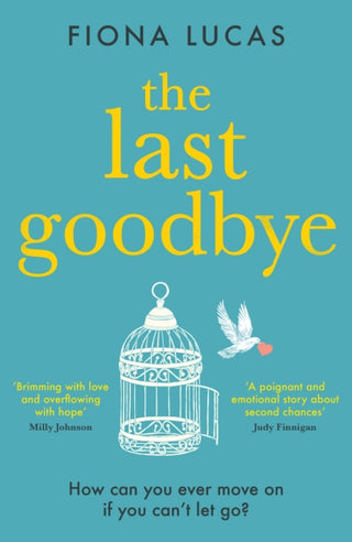 Cover image for 9780008371913 - The Last Goodbye