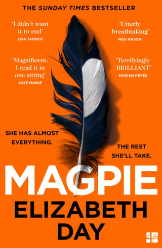 Cover image for 9780008374983 - Magpie