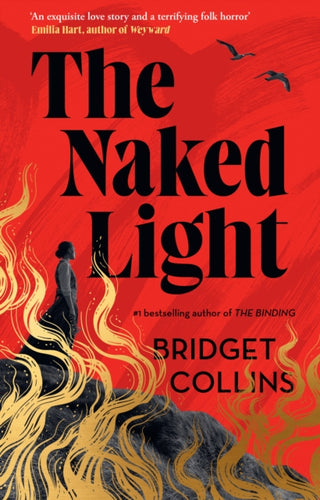 Supplemental image for 9780008424084 - The Naked Light