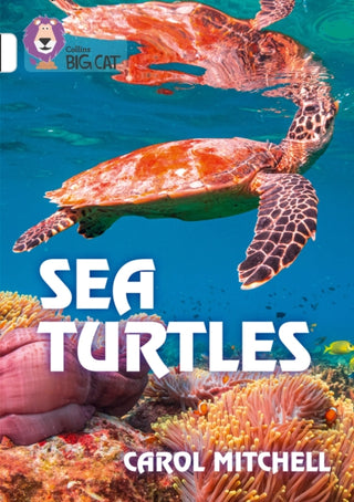 Cover image for 9780008432201 - Sea Turtles
