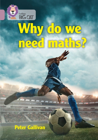 Cover image for 9780008479152 - Why do we need maths?