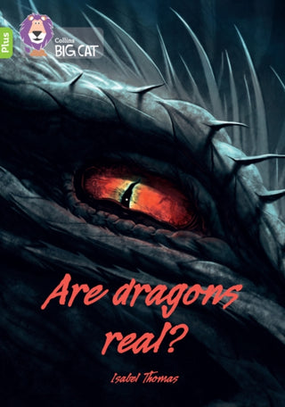 Supplemental image for 9780008485641 - Are dragons real?