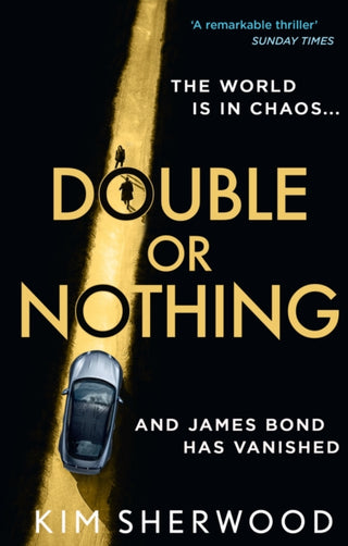 Cover image for 9780008495428 - Double or Nothing
