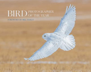Cover image for 9780008496241 - Bird Photographer of the Year