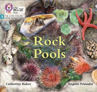 Cover image for 9780008504151 - Rock Pools