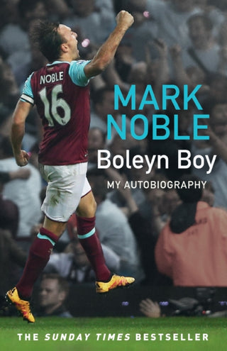 Cover image for 9780008531348 - Boleyn Boy
