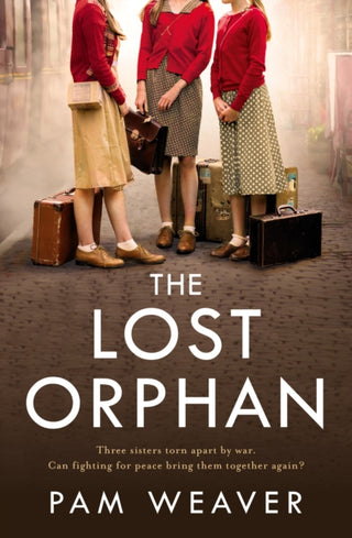 Supplemental image for 9780008538392 - The Lost Orphan