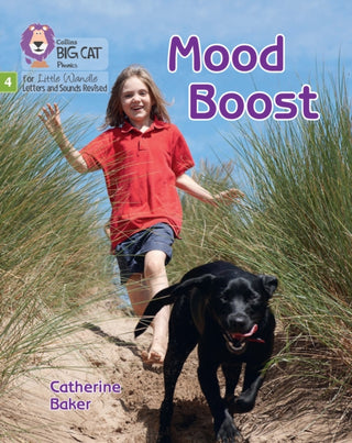 Cover image for 9780008540425 - Mood Boost