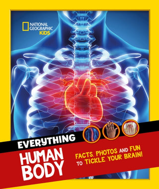 Cover image for 9780008541583 - Everything: Human Body