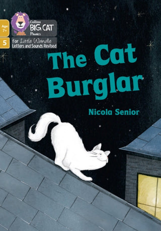 Supplemental image for 9780008551940 - The Cat Burglar
