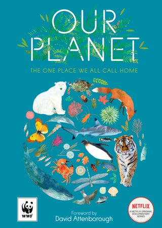 Supplemental image for 9780008560607 - Our Planet