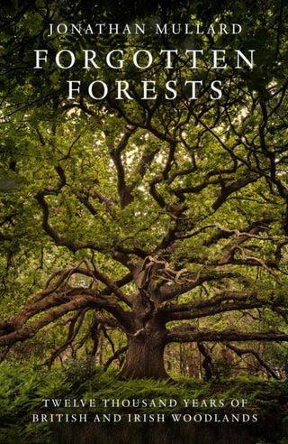Cover image for 9780008561048 - Forgotten Forests