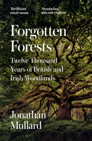 Cover image for 9780008561086 - Forgotten Forests
