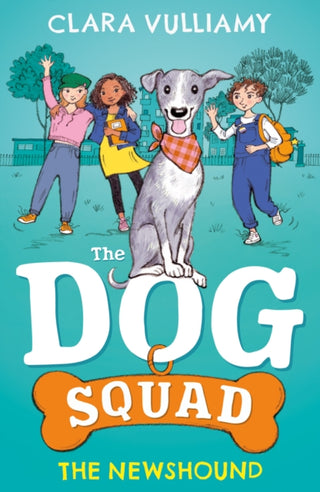 Cover image for 9780008565336 - The Newshound