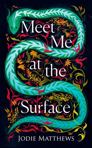 Cover image for 9780008585006 - Meet Me at the Surface