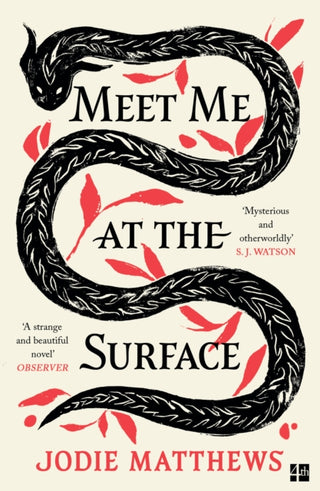 Cover image for 9780008585051 - Meet Me at the Surface