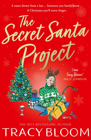 Cover image for 9780008619145 - The Secret Santa Project