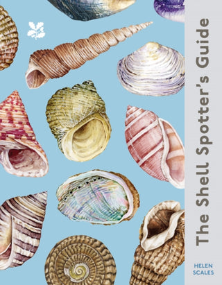 Cover image for 9780008641313 - The Shell Spotter’s Guide