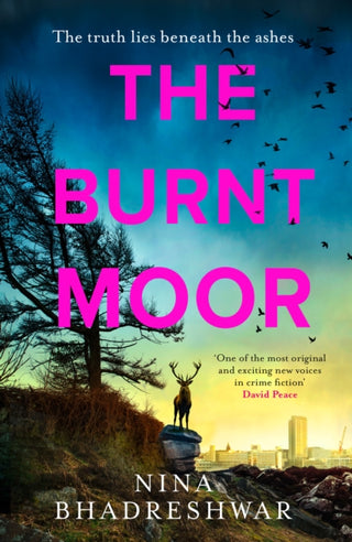 Cover image for 9780008645731 - The Burnt Moor
