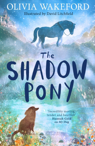 Cover image for 9780008658618 - The Shadow Pony