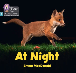 Supplemental image for 9780008668334 - At Night
