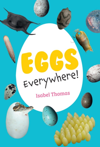Cover image for 9780008681166 - Eggs Everywhere!