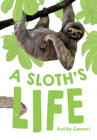 Cover image for 9780008681173 - A Sloth's Life