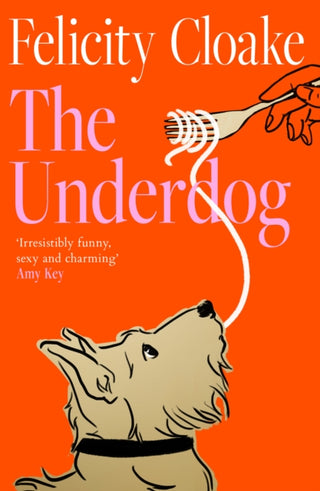Cover image for 9780008695293 - The Underdog