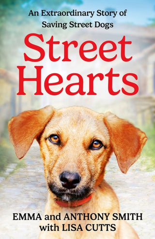 Cover image for 9780008701970 - Street Hearts