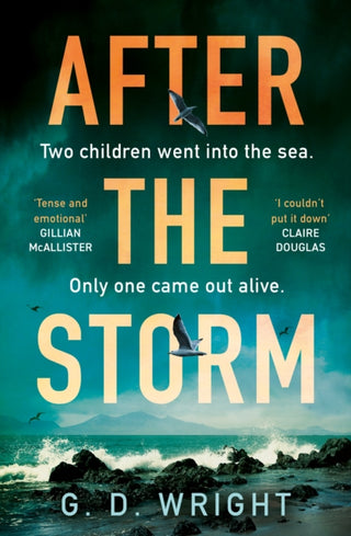 Cover image for 9780008702403 - After the Storm