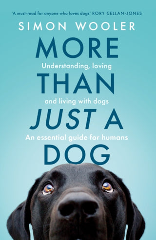 Cover image for 9780008707484 - More Than Just a Dog