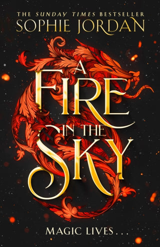Cover image for 9780008712389 - A Fire in the Sky