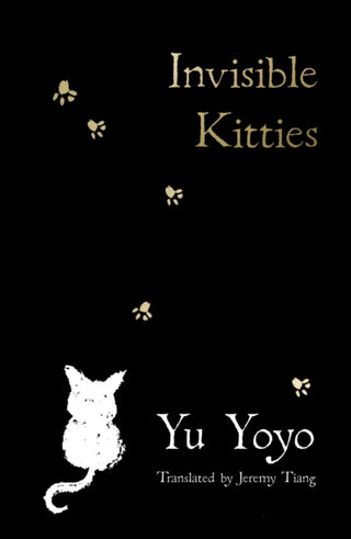 Cover image for 9780008719302 - Invisible Kitties