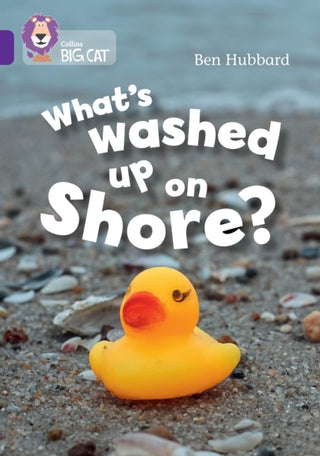 Cover image for 9780008754037 - What's washed up on shore?