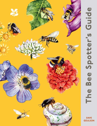 Cover image for 9780008781316 - The Bee Spotter’s Guide