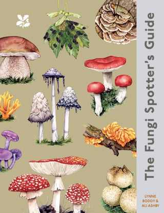 Cover image for 9780008783877 - The Fungi Spotter's Guide