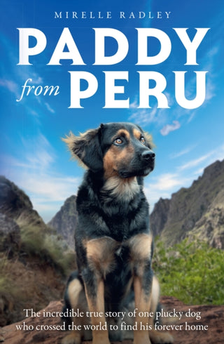 Cover image for 9780008814786 - Paddy from Peru
