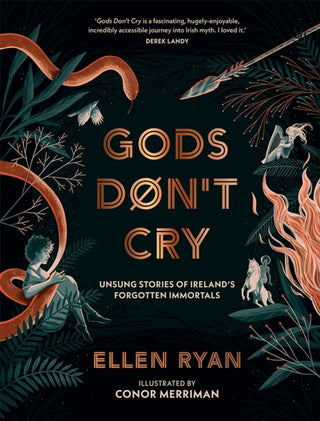 Cover image for 9780008834173 - Gods Don’t Cry