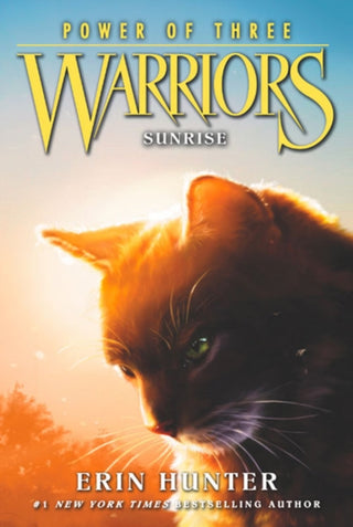Cover image for 9780062367136 - Sunrise