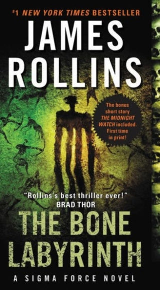 Cover image for 9780062381651 - The Bone Labyrinth