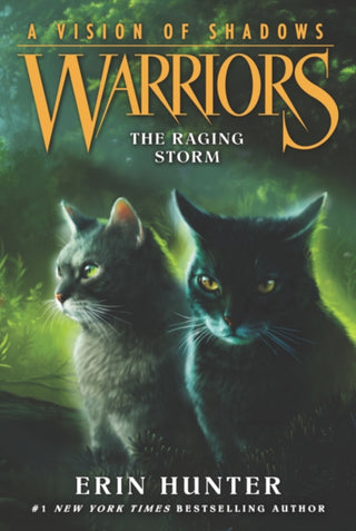 Cover image for 9780062386595 - Warriors: A Vision of Shadows #6: The Raging Storm