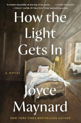 Supplemental image for 9780062398314 - How the Light Gets In