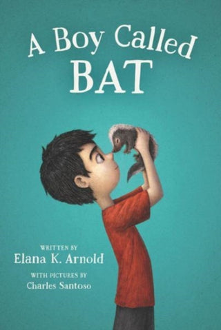 Cover image for 9780062445834 - A Boy Called Bat