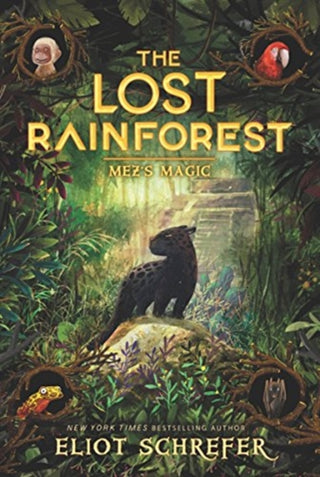 Cover image for 9780062491138 - The Lost Rainforest #1: Mez's Magic