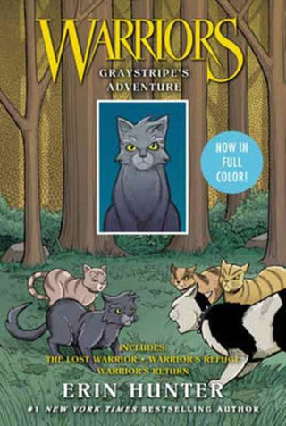 Cover image for 9780062573001 - Warriors: Graystripe's Adventure: 3 Full-Color Warriors Books in 1