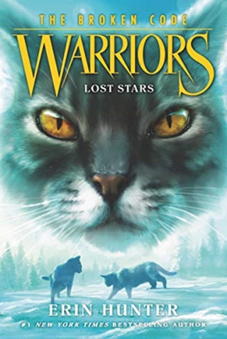 Cover image for 9780062823533 - Lost Stars