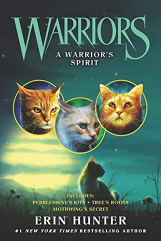 Cover image for 9780062857415 - A Warrior's Spirit
