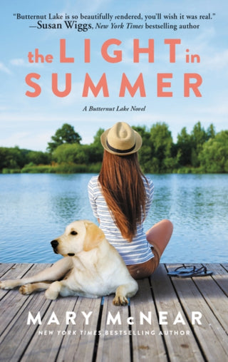 Cover image for 9780062993410 - The Light in Summer
